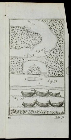 Tab. X fig. 36 - fig. 38
