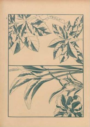 PII [Études de feuilles]