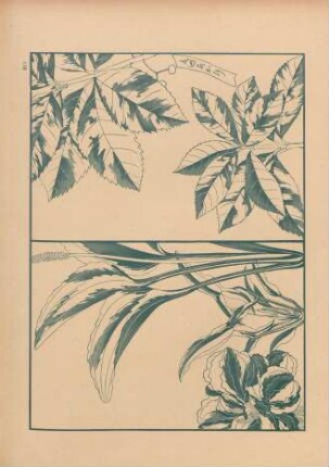 PII [Études de feuilles]
