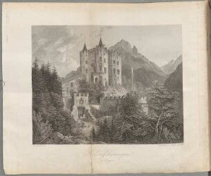 Die goldene Chronik von Hohenschwangau, der Burg der Welfen, der Hohenstauffen und der Scheyren