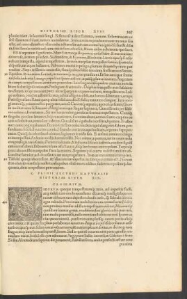 C. Plinii Secundi Naturalis Historiae Liber XIX.