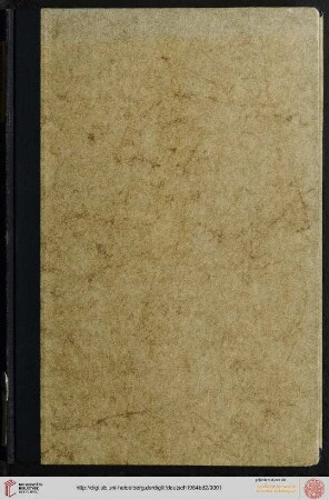 Band 2: Die Konstanzer Bildschnitzer der Spätgotik und ihr Verhältnis zu Niklaus Gerhaert