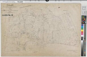 Neuenkirchen (Neuenkirchen), Rheine l.d.Ems (Rheine), Zusammenlegung Catenhorn, Urkarte I Rheine l.d.Ems Flur 18