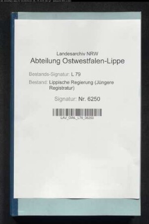 Wahl der bürgerlichen Mitglieder der Ersatzbehörden, Band 2