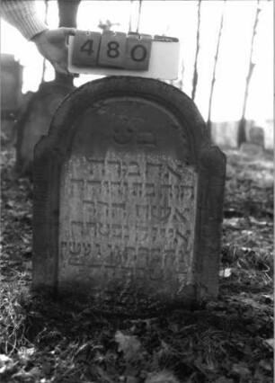 Grabstein 480 (Index: 100115521) Material: Sandstein Zustand: verwittert Maße HxBxT: 71x59x11 cm Beschreibung: Stele mit eingezogenem Rundbogenabschluß, eingetieftes Schriftfeld: Grabstein 480