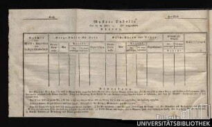 Muster-Tabelle