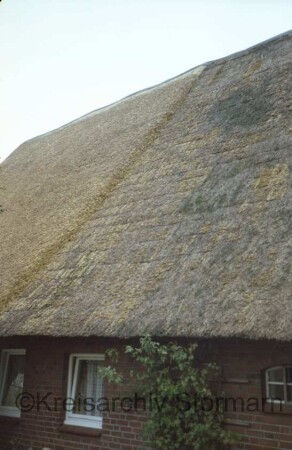 Wilstedt: Dorfring 159: traufständiges Bauernhaus mit Reetdach: Detailaufnahme: Dachfläche