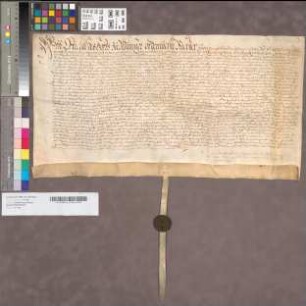 [Urkunde, die sich auf die testamentarische Verfügung der virginis Elisabeth Frie (oder Freie) bezieht.]
