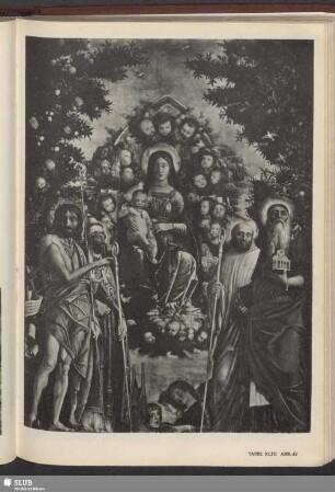 Madonna in der Glorie