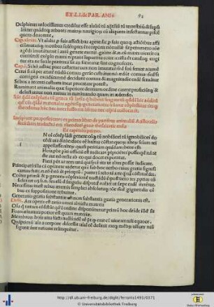 Straupitz. Ehemaliger Gutshof. Speicher (1701/1900). Teilansicht der Traufseite mit Aufzugsluke