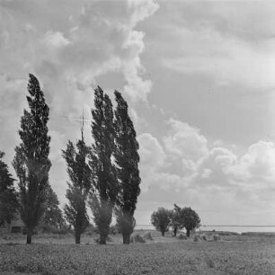 Sommerlandschaft