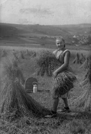 Bei der Ernte