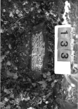 Grabstein 133 (Index: 99789917) Material: Sandstein Zustand: eingesunken Maße HxBxT: 36x50x8 cm Besonderheit: Kindergrab: Grabstein 133