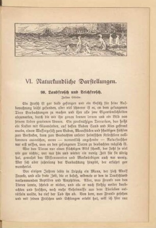 VI. Naturkundliche Darstellungen