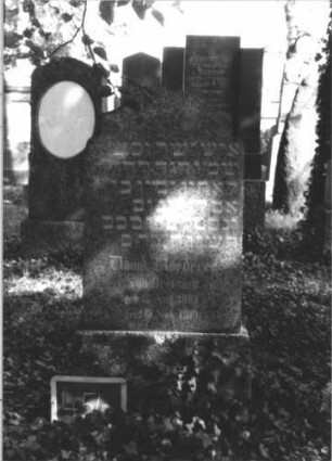 Grabstein 454 (Index: 100111708) Material: Granit Zustand: gut Maße HxBxT: 113x49x10 cm Beschreibung: Stele, Sockel, rund eingezogener und erhöhter Konvexbogenabschluß: Grabstein 454