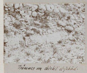 Trümmer von chirbet el-jehud [wadi bettiir].