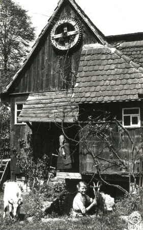 Rathen-Niederrathen. Alte Mühle (Amselgrundmühle, Böhmische Mühle). Wohnhaus. Giebelansicht, Mädchen mit Ziegen