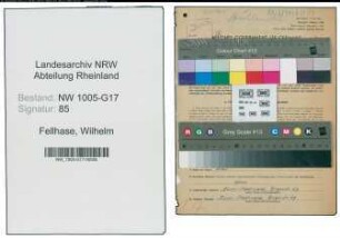 Entnazifizierung Wilhelm Fellhase , geb. 10.12.1899 (Prokurist)