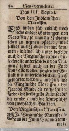 Das III. Capitel. Von den Indianischen Narcissen.