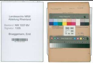 Entnazifizierung Emil Brueggemann , geb. 08.10.1893 (Steuerinspektor)