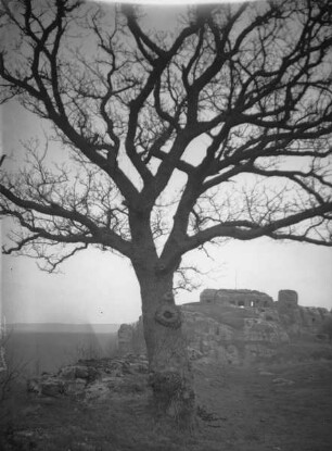 Burgruine Regenstein