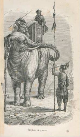 Élephant de guerre