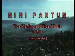 NINI PANTUN - Rice Planting and Rice Rituals in Bali (Indonesia)