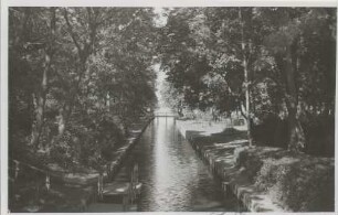 Postkarte, Soldin (Neumark)