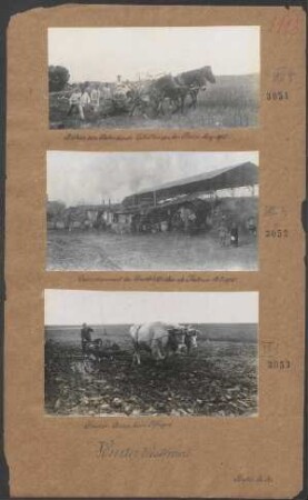 Französ. Bauer beim Pflügen