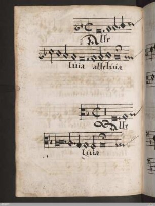 Alleluja. Veni sancte