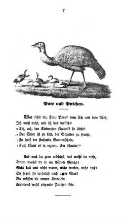 Pute und Putchen.