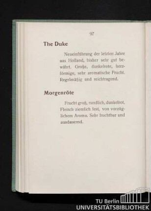 The Duke. Morgenröte.