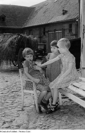 Porträt von Kindern auf einem Bauernhof beim Spielen mit einer Katze