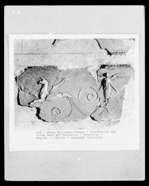 Stuckrelief aus einem Haus der Farnesina