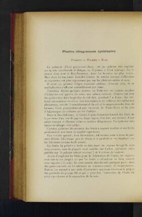 Plantes oléagineuses spontanées.
