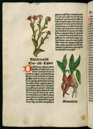 88v, Durchwachß (153. Kapitel)