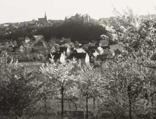 Leisnig : Leisnig. Ortsteilansicht mit Stadtkirche und Schloss Mildenstein von Norden