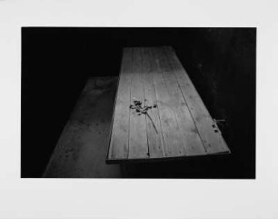 Buchenwald