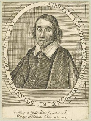 Bildnis des Adolfvs Vorstivs, Ever. filivs