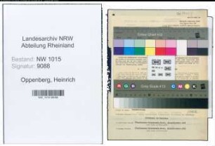 Entnazifizierung Heinrich Oppenberg , geb. 27.06.1901 (Ingenieur)