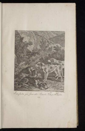 Englische par force und Teutsche Jagt-Hunde. N. 5.