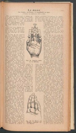 La mano - sus formas, sus líneas y el significado de estas - [Continuación]