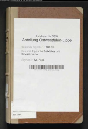 Salbuch der Stadt Blomberg von 1828, Bd. 1