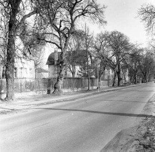 Hoppegarten-Dahlwitz-Hoppegarten. Lindenallee. Blick gegen Wohnhäuser (1886/1915) mit Einfriedung