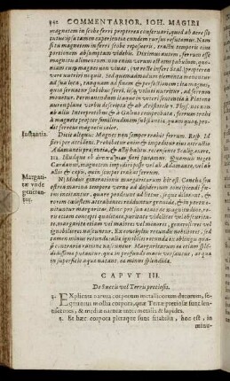 Caput III. De Succis vel Terris pretiosis