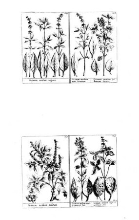 1055-1058