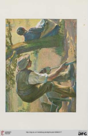 No. 65 (August, 1898)