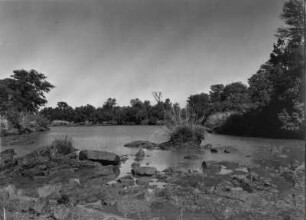 Der Limpopo-Fluss : Der Limpopo-Fluss. An dieser STelle führt der Fluss noch Wasser.