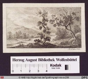 Bergige Flusslandschaft mit einzelnem Weinstock