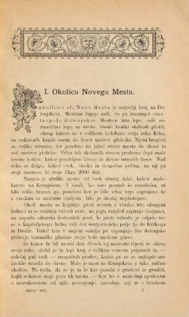 Zgodovina Novega Mesta